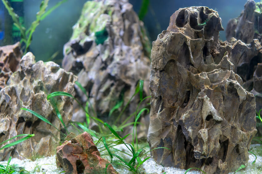 Best Rock for Freshwater Aquarium