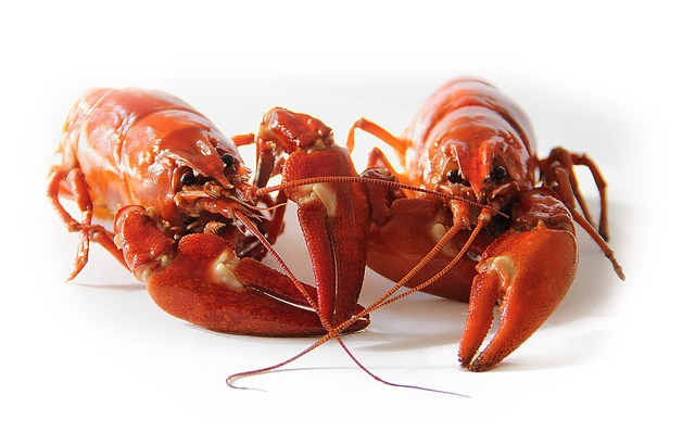 Crawfish 423251 640