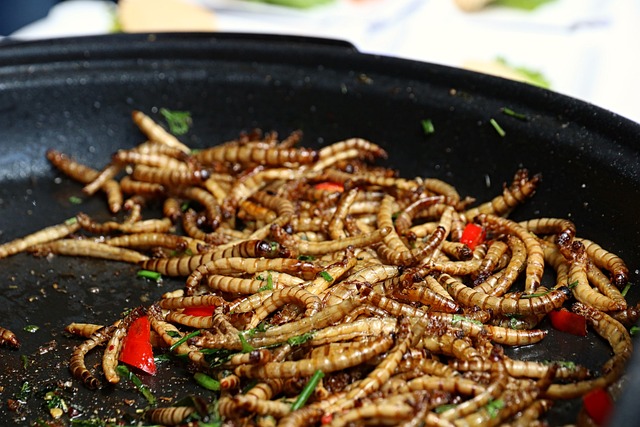 Mealworms Gdb4c00583 640